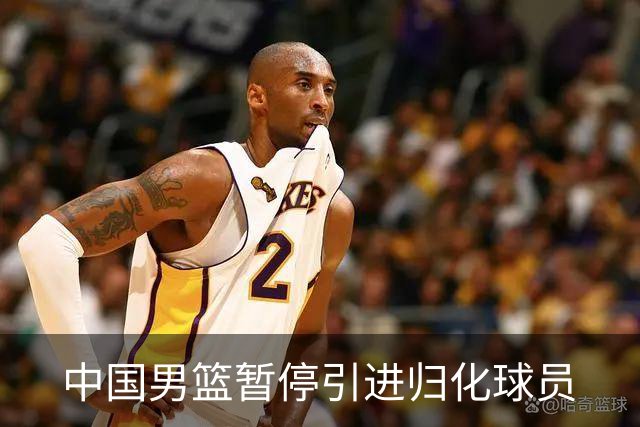 中国男篮暂停引进归化球员