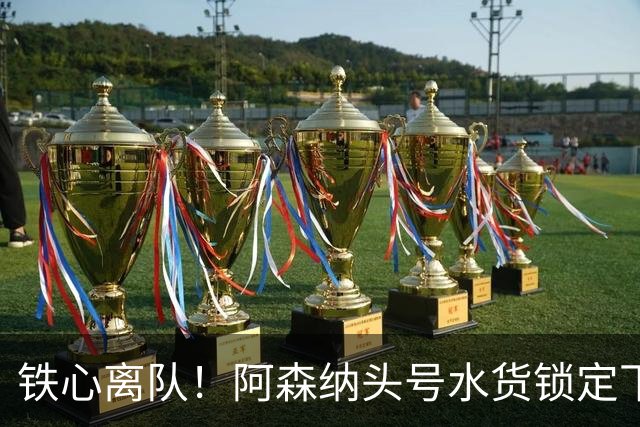 铁心离队！阿森纳头号水货锁定下家，两队已交换转会报价